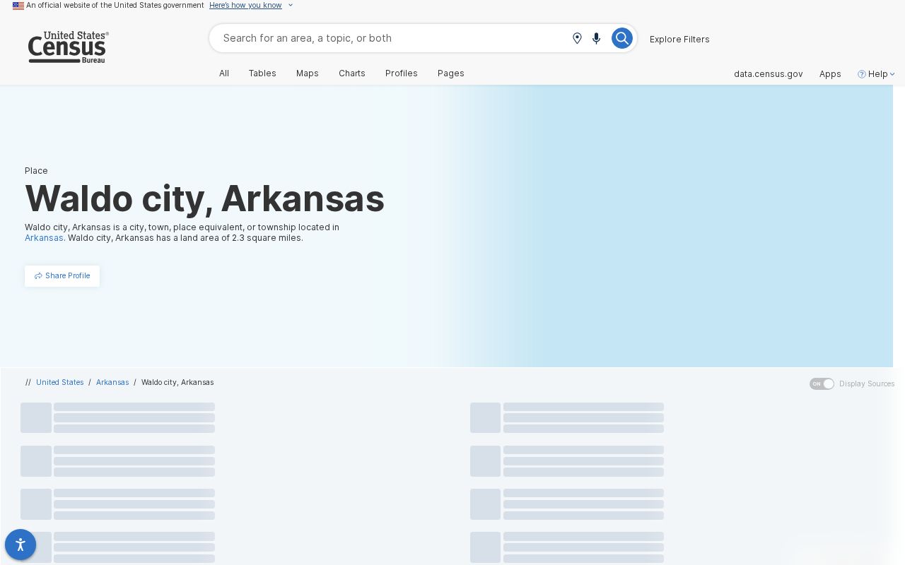 Census profile for Waldo city Arkansas used for local record context
